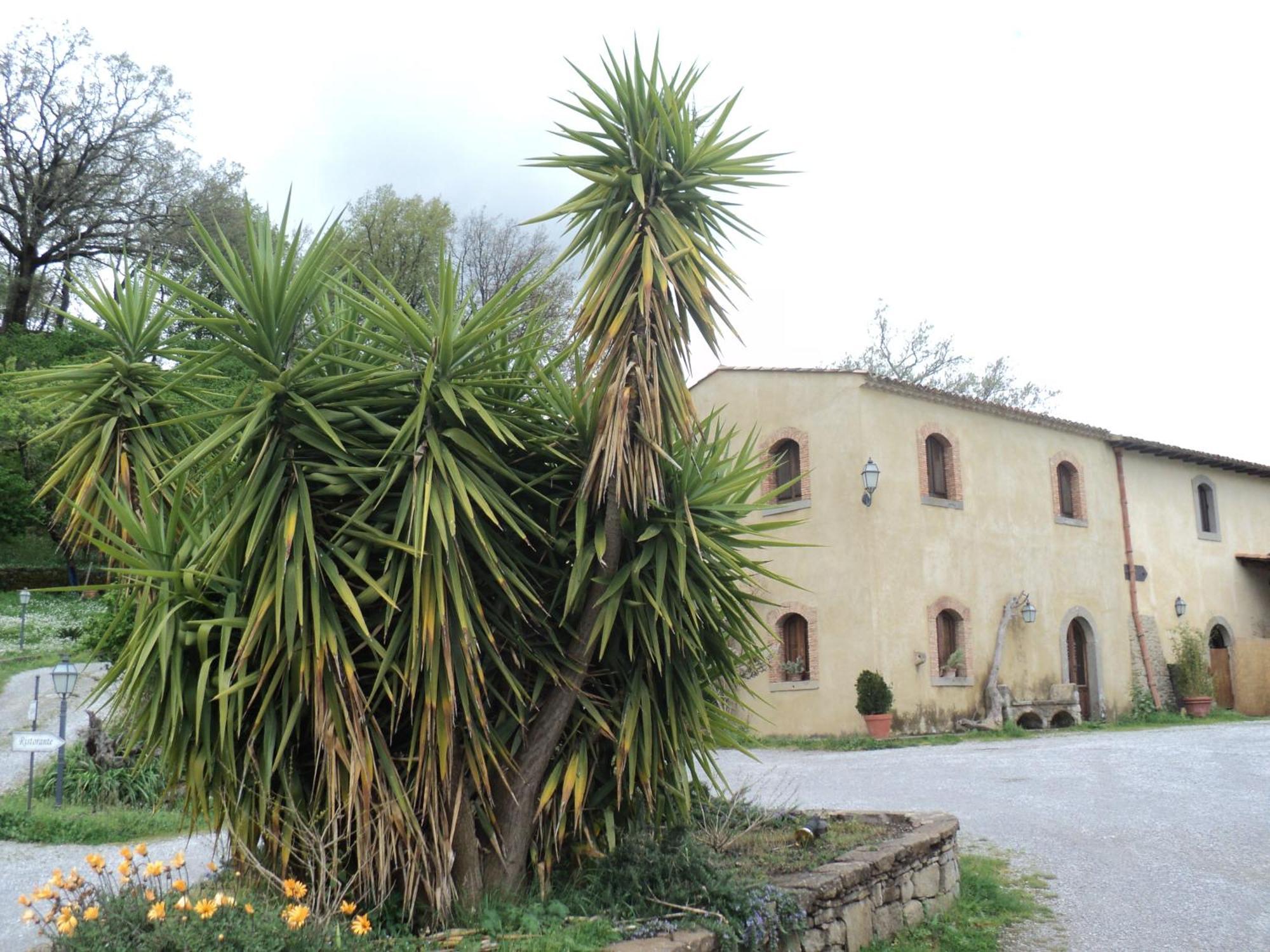 Villa Agriturismo Il Daino San Piero Patti Exterior foto