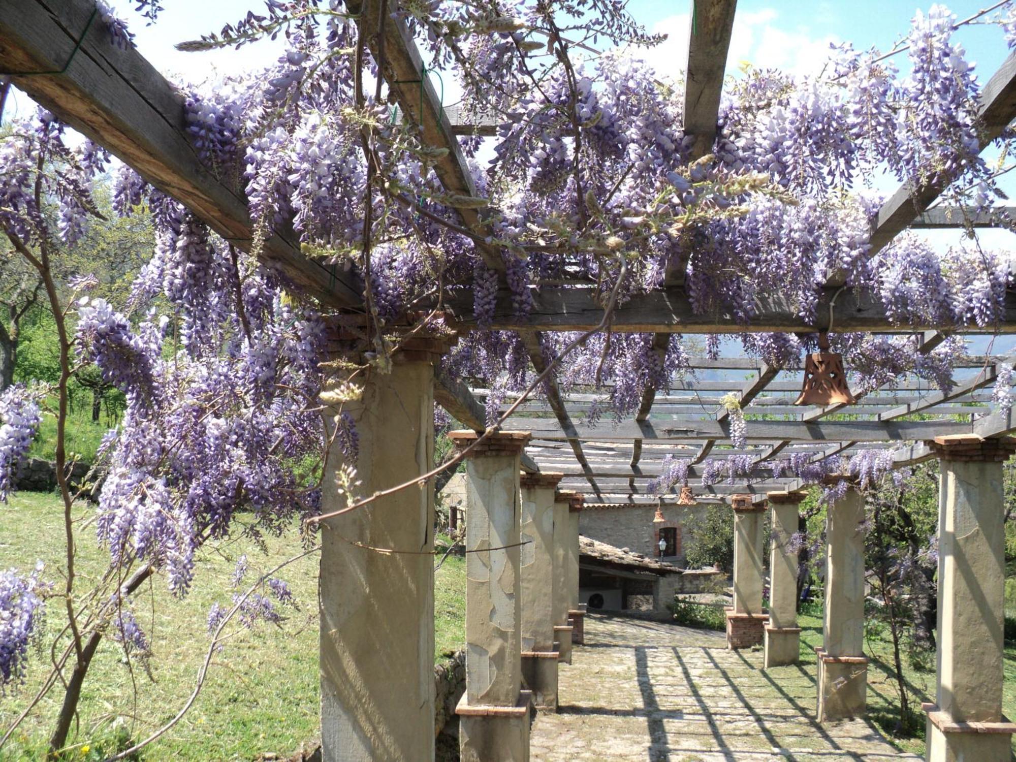 Villa Agriturismo Il Daino San Piero Patti Exterior foto